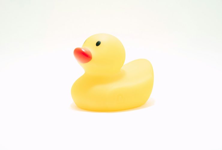 Duck