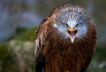 Projekció a mindennapokban