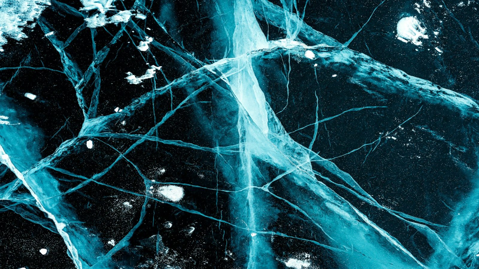 Tükörneuronok